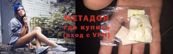 прущие грибы Инта