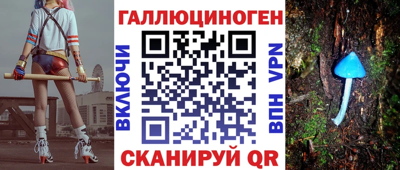 Псилоцибиновые грибы Psilocybe Билибино